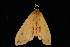  ( - 05-TN-00517)  @13 [ ] CreativeCommons - Attribution (2010) Unspecified Centre for Biodiversity Genomics