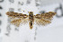  ( - CNCLEP00004125)  @13 [ ] CreativeCommons - Attribution Non-Commercial Share-Alike (2007) Unspecified Canadian National Collection
