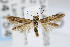  ( - CNCLEP00004154)  @13 [ ] CreativeCommons - Attribution Non-Commercial Share-Alike (2007) Unspecified Canadian National Collection