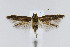  ( - CNCLEP00005939)  @11 [ ] CreativeCommons - Attribution Non-Commercial Share-Alike (2007) Unspecified Canadian National Collection