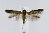  ( - CNCLEP00005941)  @11 [ ] CreativeCommons - Attribution Non-Commercial Share-Alike (2007) Unspecified Canadian National Collection