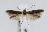  ( - CNCLEP00005951)  @11 [ ] CreativeCommons - Attribution Non-Commercial Share-Alike (2007) Unspecified Canadian National Collection