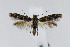 ( - CNCLEP00005955)  @13 [ ] CreativeCommons - Attribution Non-Commercial Share-Alike (2007) Unspecified Canadian National Collection