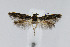  ( - CNCLEP00005979)  @12 [ ] CreativeCommons - Attribution Non-Commercial Share-Alike (2007) Unspecified Canadian National Collection