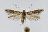  ( - CNCLEP00005981)  @14 [ ] CreativeCommons - Attribution Non-Commercial Share-Alike (2007) Unspecified Canadian National Collection