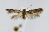  ( - CNCLEP00005984)  @13 [ ] CreativeCommons - Attribution Non-Commercial Share-Alike (2007) Unspecified Canadian National Collection
