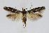  ( - CNCLEP00009425)  @14 [ ] CreativeCommons - Attribution Non-Commercial Share-Alike (2007) Unspecified Canadian National Collection