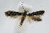  ( - CNCLEP00009426)  @13 [ ] CreativeCommons - Attribution Non-Commercial Share-Alike (2007) Unspecified Canadian National Collection