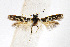  ( - CNCLEP00009430)  @11 [ ] CreativeCommons - Attribution Non-Commercial Share-Alike (2007) Unspecified Canadian National Collection