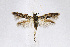  ( - CNCLEP00009431)  @11 [ ] CreativeCommons - Attribution Non-Commercial Share-Alike (2007) Unspecified Canadian National Collection