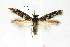  ( - CNCLEP00009433)  @11 [ ] CreativeCommons - Attribution Non-Commercial Share-Alike (2007) Unspecified Canadian National Collection