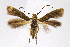  ( - CNCLEP00009456)  @11 [ ] CreativeCommons - Attribution Non-Commercial Share-Alike (2007) Unspecified Canadian National Collection