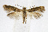  ( - CNCLEP00009458)  @11 [ ] CreativeCommons - Attribution Non-Commercial Share-Alike (2007) Unspecified Canadian National Collection