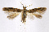  ( - CNCLEP00009459)  @11 [ ] CreativeCommons - Attribution Non-Commercial Share-Alike (2007) Unspecified Canadian National Collection