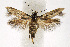  ( - CNCLEP00009467)  @14 [ ] CreativeCommons - Attribution Non-Commercial Share-Alike (2007) Unspecified Canadian National Collection