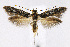  ( - CNCLEP00014079)  @14 [ ] CreativeCommons - Attribution Non-Commercial Share-Alike (2007) Unspecified Canadian National Collection