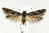  ( - CNCLEP00014088)  @14 [ ] CreativeCommons - Attribution Non-Commercial Share-Alike (2007) Unspecified Canadian National Collection