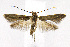  ( - CNCLEP00014100)  @13 [ ] CreativeCommons - Attribution Non-Commercial Share-Alike (2007) Unspecified Canadian National Collection