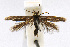  ( - CNCLEP00060339)  @13 [ ] CreativeCommons - Attribution Non-Commercial Share-Alike (2007) Unspecified Canadian National Collection