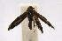  ( - CNCLEP00060340)  @12 [ ] CreativeCommons - Attribution Non-Commercial Share-Alike (2007) Unspecified Canadian National Collection