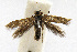  ( - CNCLEP00060341)  @13 [ ] CreativeCommons - Attribution Non-Commercial Share-Alike (2007) Unspecified Canadian National Collection