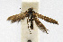  ( - CNCLEP00060344)  @12 [ ] CreativeCommons - Attribution Non-Commercial Share-Alike (2007) Unspecified Canadian National Collection