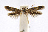  ( - CNCLEP00060345)  @12 [ ] CreativeCommons - Attribution Non-Commercial Share-Alike (2007) Unspecified Canadian National Collection