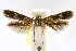  ( - CNCLEP00060346)  @13 [ ] CreativeCommons - Attribution Non-Commercial Share-Alike (2007) Unspecified Canadian National Collection