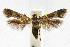  ( - CNCLEP00060349)  @13 [ ] CreativeCommons - Attribution Non-Commercial Share-Alike (2007) Unspecified Canadian National Collection