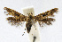  ( - CNCLEP00060350)  @14 [ ] CreativeCommons - Attribution Non-Commercial Share-Alike (2007) Unspecified Canadian National Collection