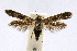  ( - CNCLEP00060351)  @14 [ ] CreativeCommons - Attribution Non-Commercial Share-Alike (2007) Unspecified Canadian National Collection