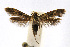  ( - CNCLEP00060352)  @13 [ ] CreativeCommons - Attribution Non-Commercial Share-Alike (2007) Unspecified Canadian National Collection