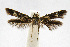  ( - CNCLEP00060354)  @13 [ ] CreativeCommons - Attribution Non-Commercial Share-Alike (2007) Unspecified Canadian National Collection