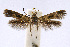  ( - CNCLEP00060355)  @13 [ ] CreativeCommons - Attribution Non-Commercial Share-Alike (2007) Unspecified Canadian National Collection