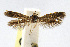 ( - CNCLEP00060357)  @13 [ ] CreativeCommons - Attribution Non-Commercial Share-Alike (2007) Unspecified Canadian National Collection