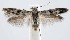 ( - jflandry1326)  @14 [ ] Copyright (2007) Unspecified Canadian National Collection