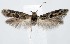  ( - jflandry1331)  @13 [ ] Copyright (2007) Unspecified Canadian National Collection