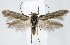  ( - jflandry1340)  @13 [ ] Copyright (2007) Unspecified Canadian National Collection