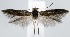  ( - jflandry1357)  @13 [ ] Copyright (2007) Unspecified Canadian National Collection