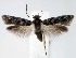  ( - jflandry1360)  @13 [ ] Copyright (2007) Unspecified Canadian National Collection