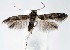  ( - jflandry1362)  @13 [ ] Copyright (2007) Unspecified Canadian National Collection