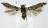  ( - jflandry1364)  @13 [ ] Copyright (2007) Unspecified Canadian National Collection