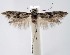  ( - jflandry1372)  @13 [ ] Copyright (2007) Unspecified Canadian National Collection
