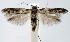  ( - jflandry1374)  @14 [ ] Copyright (2007) Unspecified Canadian National Collection