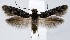  ( - jflandry1381)  @14 [ ] Copyright (2007) Unspecified Canadian National Collection