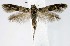  ( - jflandry1382)  @14 [ ] Copyright (2007) Unspecified Canadian National Collection