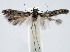  ( - jflandry1384)  @13 [ ] Copyright (2007) Unspecified Canadian National Collection