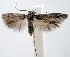  ( - jflandry1385)  @13 [ ] Copyright (2007) Unspecified Canadian National Collection