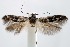  ( - jflandry1387)  @13 [ ] Copyright (2007) Unspecified Canadian National Collection