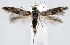  ( - jflandry1395)  @13 [ ] Copyright (2007) Unspecified Canadian National Collection